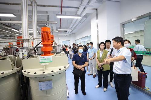 高質量發展調研行 企業觀察 桃花源走出了格林美 打造世界領先的電子廢棄物循環工廠